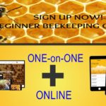 BEEKEEPING TRAINING NIGERIA