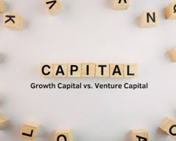 Types of Capital Growth