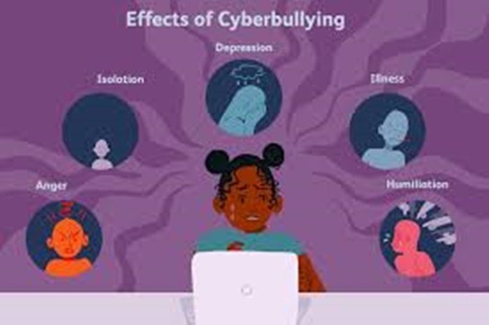 Bullying/cyber bullying