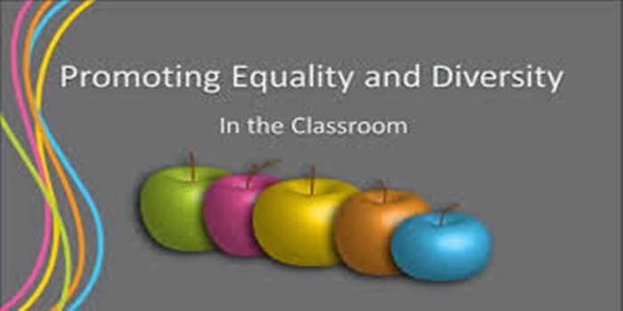 Promoting Diversity and Teaching Inclusivity