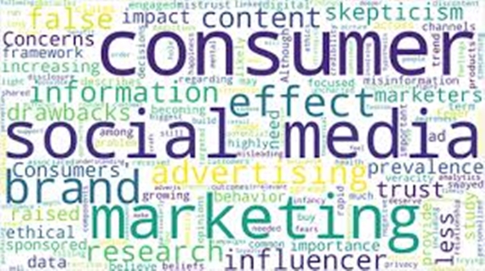 Social Media Effects on Consumer