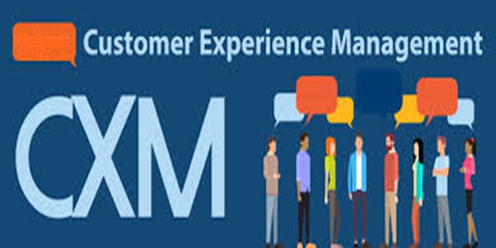 Customer Experience Management in the Digital Age