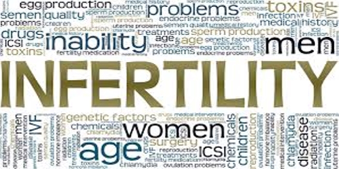 Understanding the Concept of Infertility