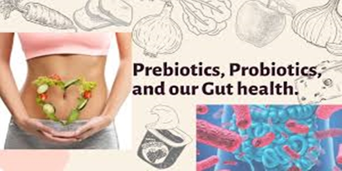 Gut Health and Probiotics