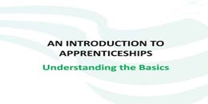 In this article, we discussed the meaning of apprenticeship, the types, the examples, we also talked about the benefits of apprenticeships