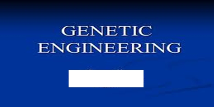 Ethics of Genetic Engineering