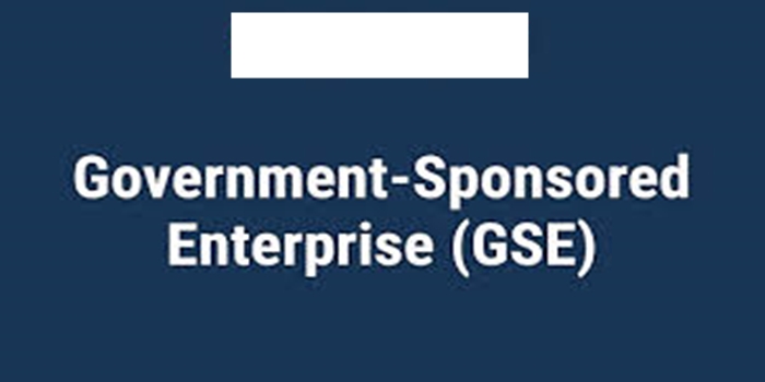 Government Enterprise