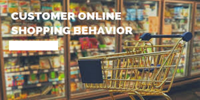 Online Consumer Behavior