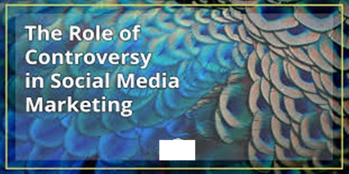 The Power of Controversy in Boosting Social Media Presence