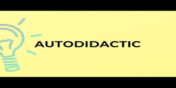 Understanding Autodidacticism