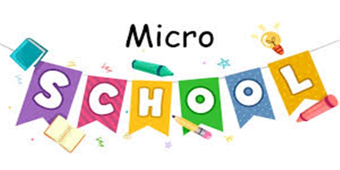 Understanding Micro schools