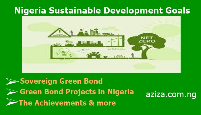 Nigerian sustainable development goals with Net Zero target