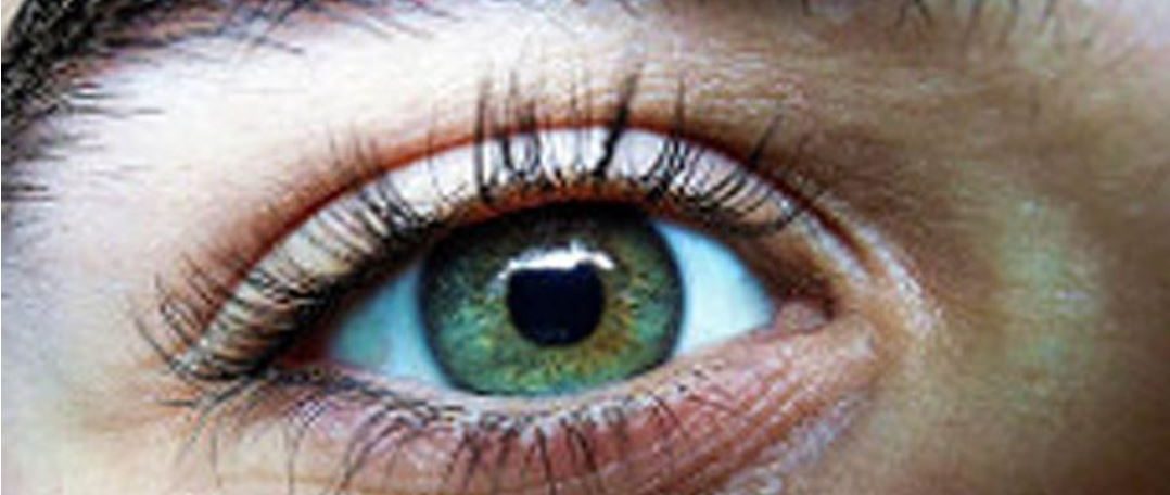 Causes of Glaucoma, symptoms, diagnosis and the prevention of Glaucoma